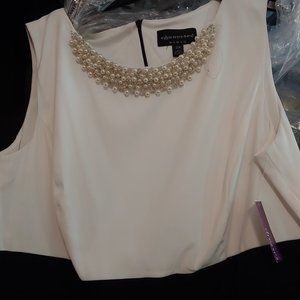 Mother of the bride dress